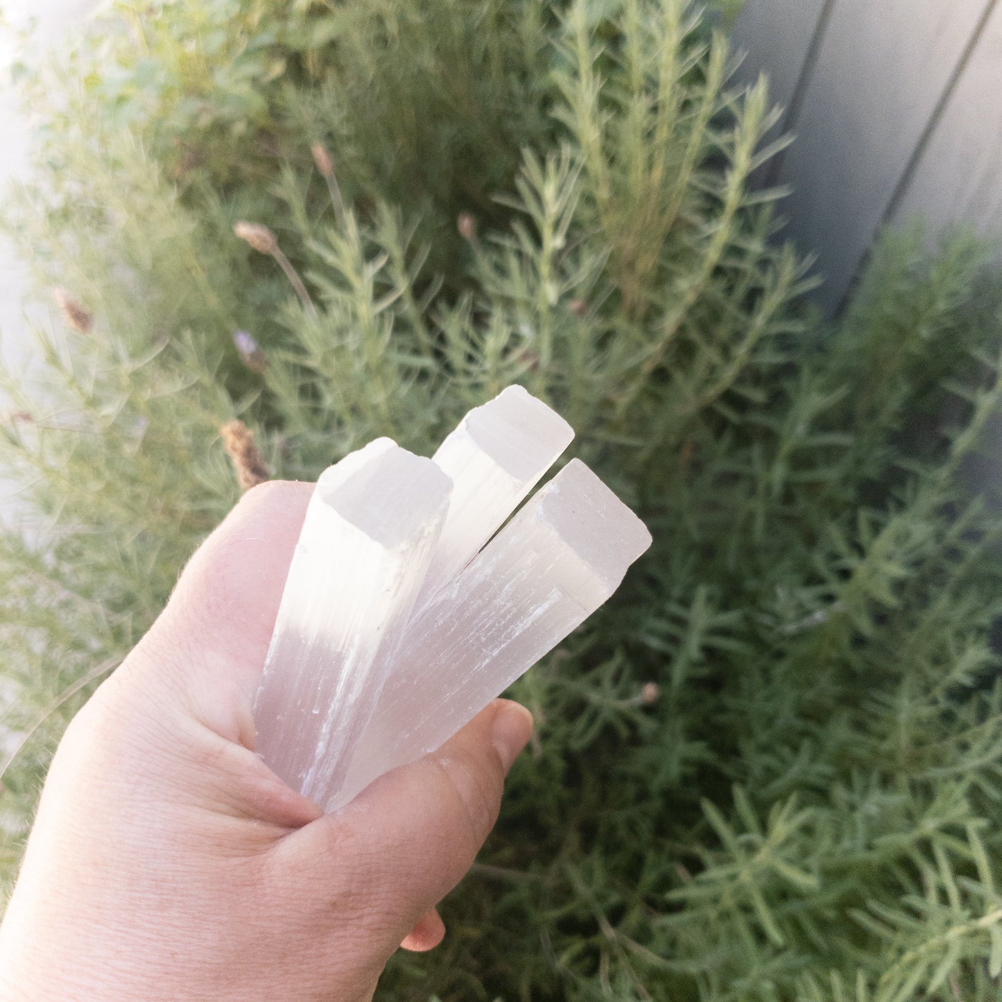 Selenite Sticks 4" - FunkyPeacockStore (Store description)