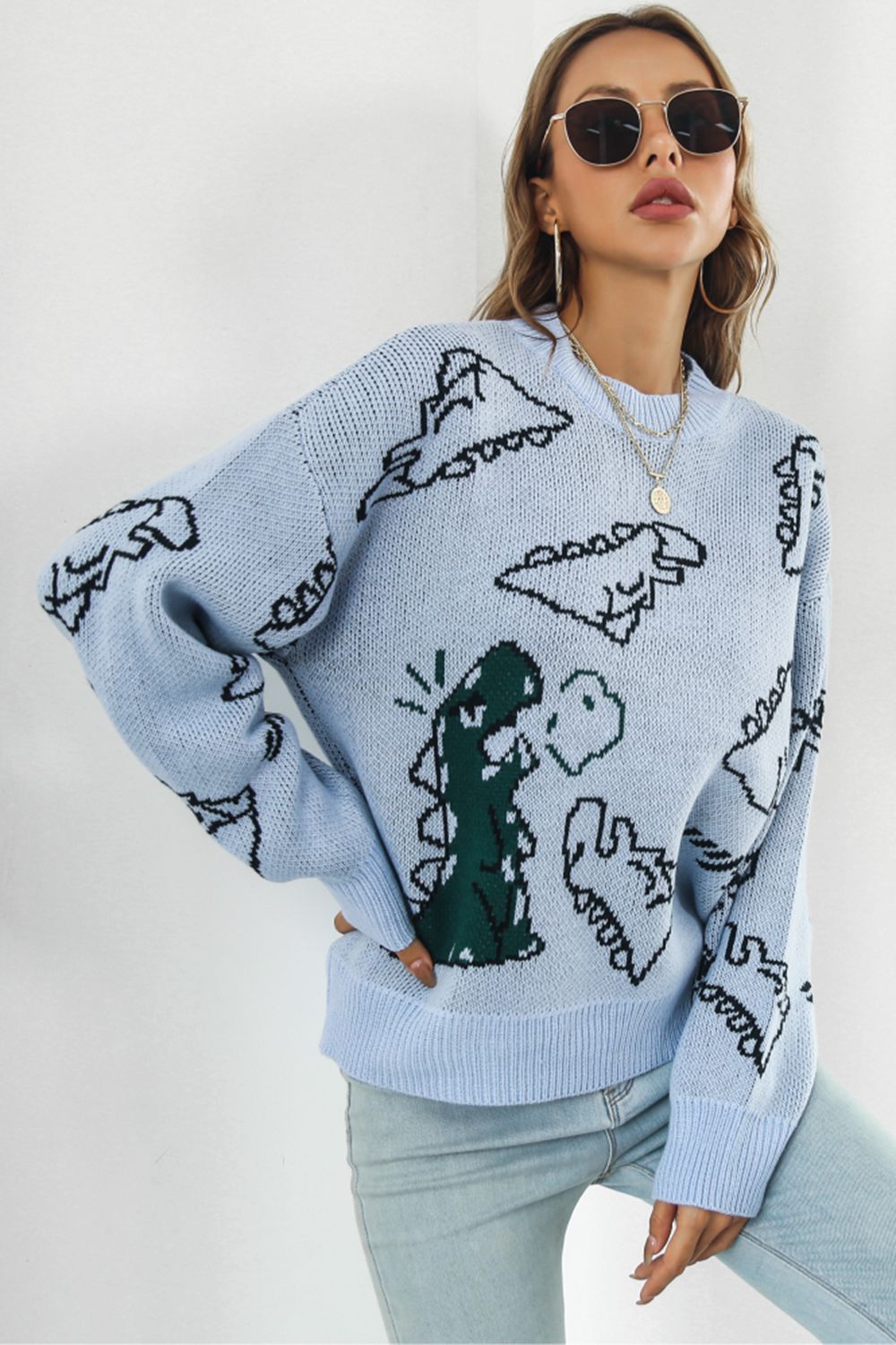 Dinosaur Pattern Round Neck Sweater - FunkyPeacockStore (Store description)